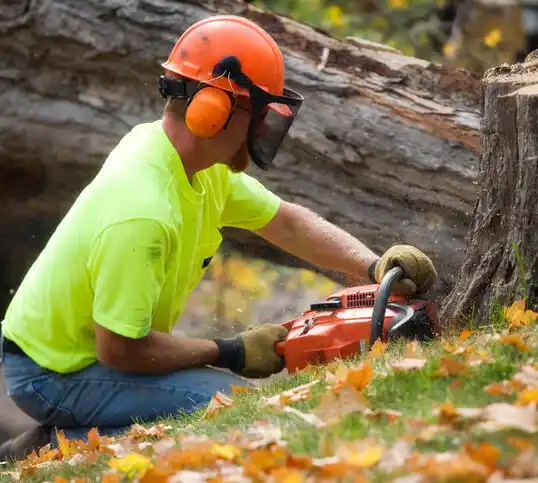 tree services Fort Covington Hamlet